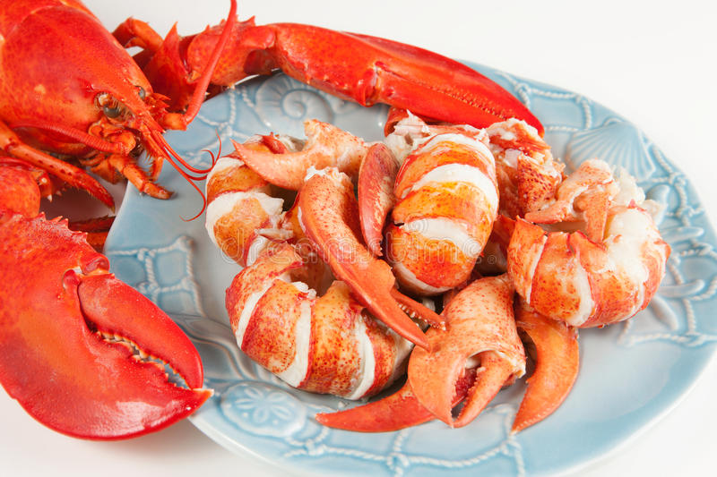 Fresh Maine Lobster Meat, "TAIL", Knuckle & Claw,  1 LB.