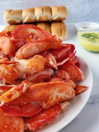 Gilt City / Rue La La Maine Lobster Roll + Lobster Dumplings