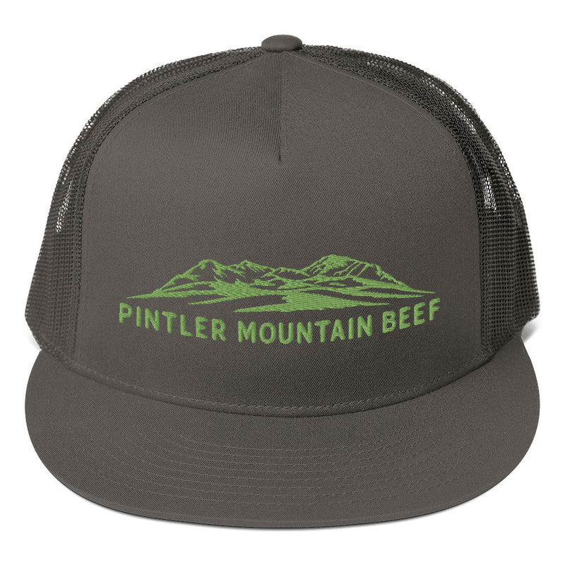 Pintler Mountain Beef Mesh Back Snapback