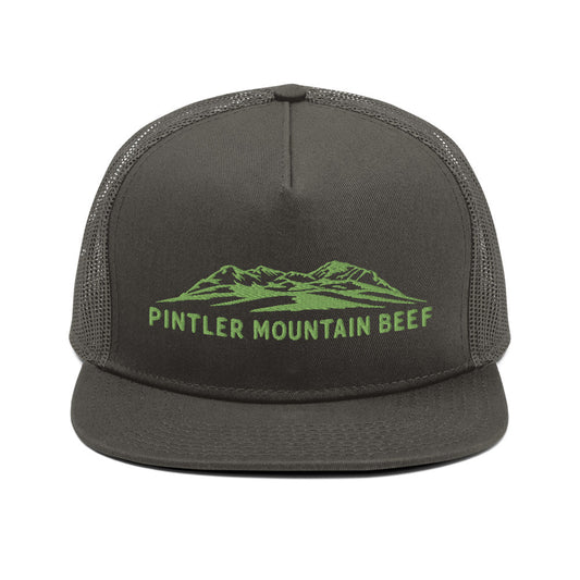 Pintler Mountain Beef Mesh Back Snapback