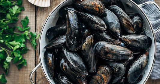 Hollander Mussels, Maine - 10 Pound Bag