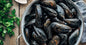 Hollander Mussels, Maine - 10 Pound Bag