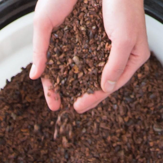 Cocoa Nibs