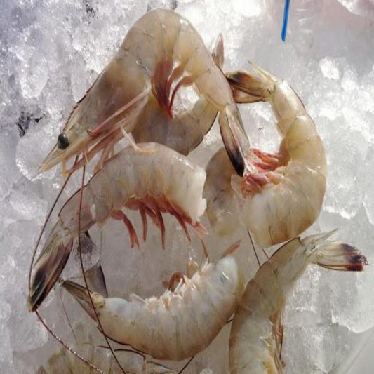 Wild, Domestic USA, Shell On, Texas Gulf Shrimp, 16/20 Count,  Frozen