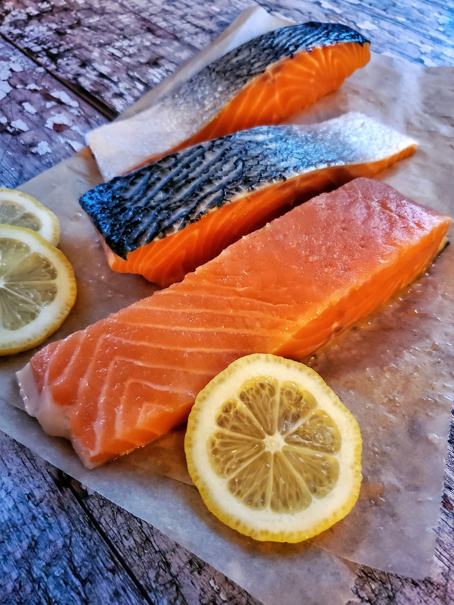 Salmon Lover