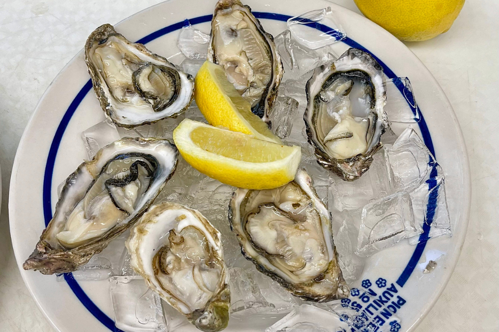 Fresh Oysters