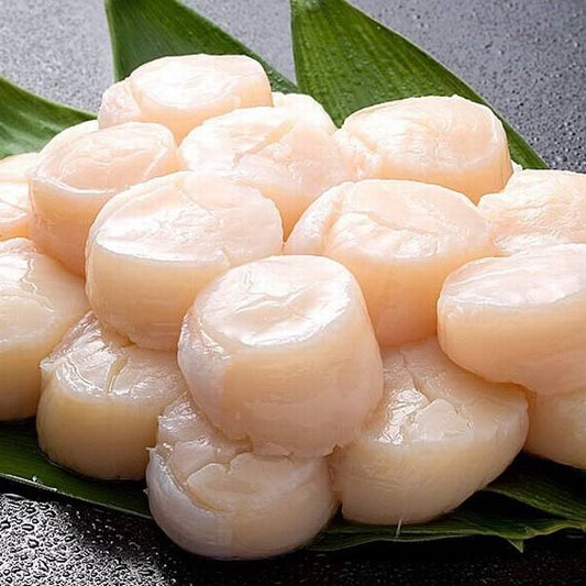 Gloucester, MA U10 Diver Scallops -  Approximately 80 Per Pack