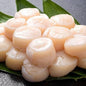 Gloucester, MA U10 Diver Scallops -  Approximately 80 Per Pack