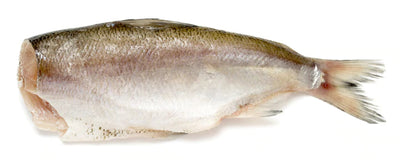 HEALTHY FISH TRIFECTA - MACKEREL  - SARDINES - SMELTS